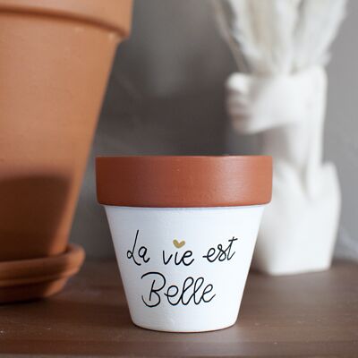 Pot de fleurs / cache pot en terre cuite : La vie est belle