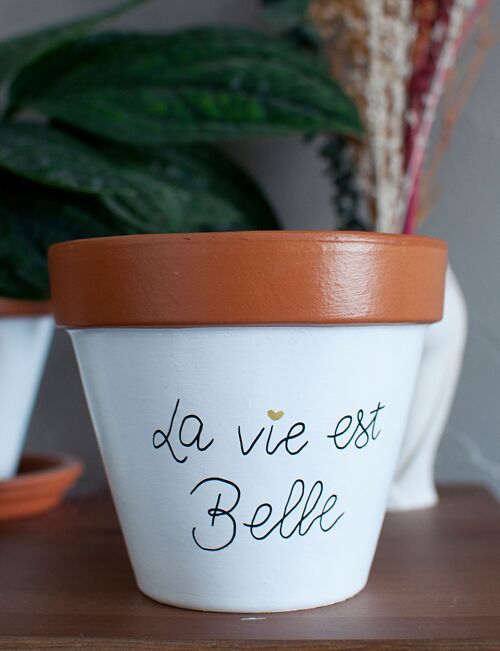 Pot de fleurs / cache pot en terre cuite : La vie est belle