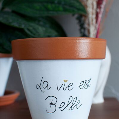 Terracotta flowerpot / cache pot: Life is beautiful