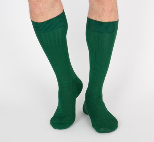 Chaussettes en fil d'écosse - Vert anglais