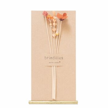 Bouquet de 5 Brindilles | corail | 2