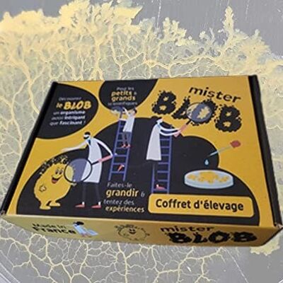 Coffret d'élevage de blob (version économique)