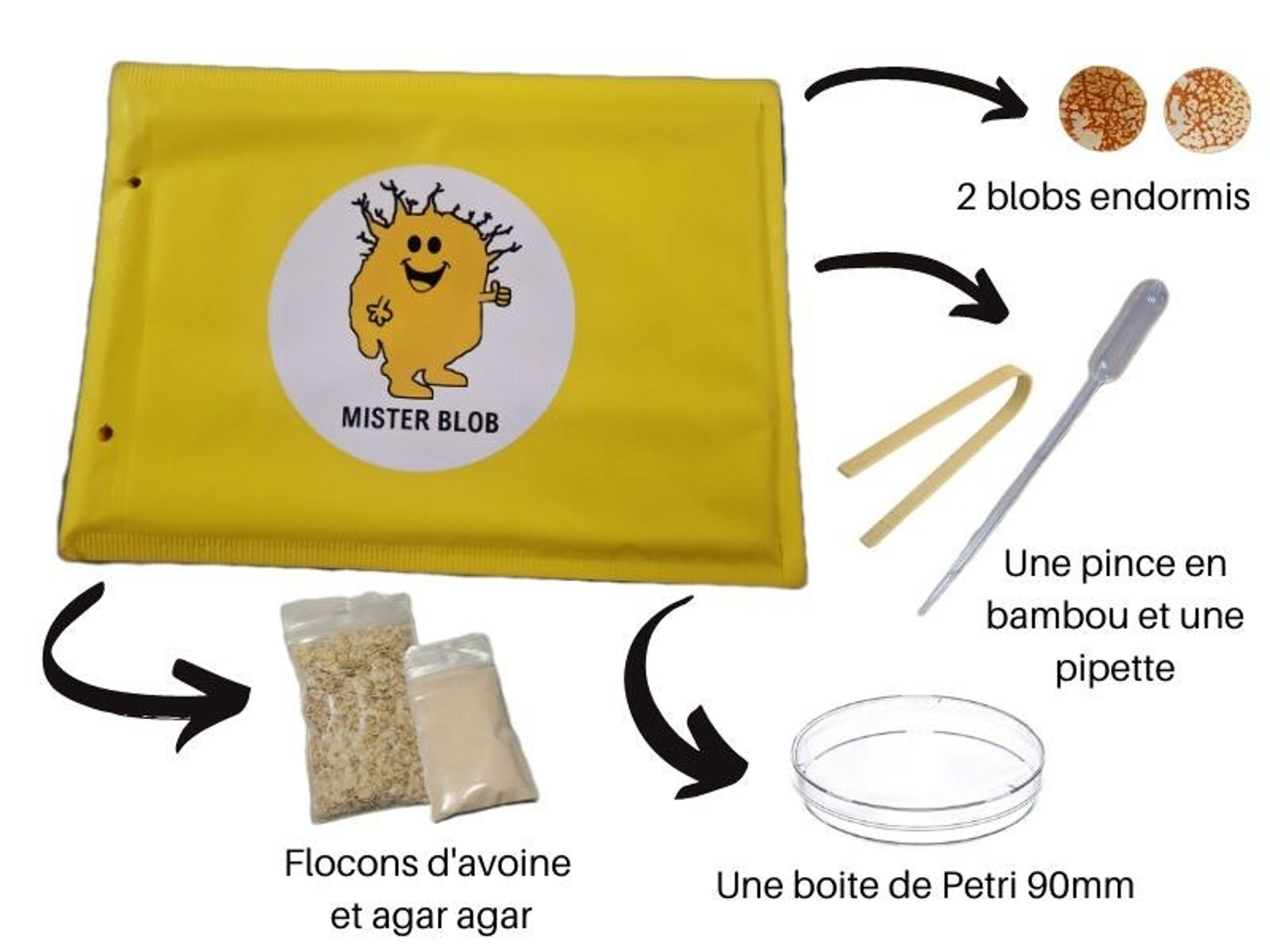 Mister Blob  Achat et élevage de Blobs en France – Misterblob