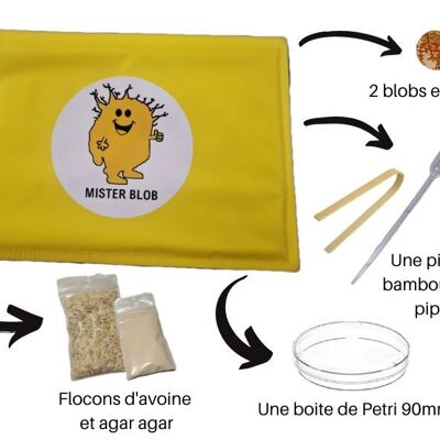 Test du coffret d'élevage d'un blob et découverte de Blob Shop