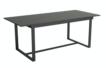 Nangy Table à Manger Extensible Béton 120-160 x 80 cm 2