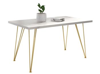 Thusy Table à Manger Extensible Or, Blanc 120-220 x 80 cm 1