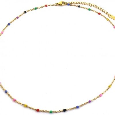 C-E4.1 N064-006G S. Collar Acero Puntos 40-45cm Multi