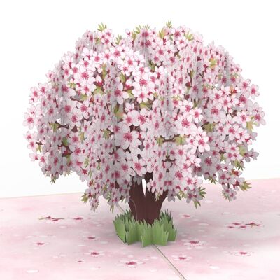Tarjeta emergente de flor de cerezo