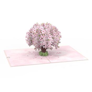 Carte pop-up fleur de cerisier 3