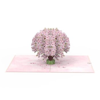Carte pop-up fleur de cerisier 4