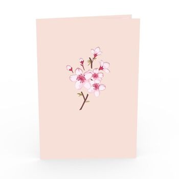 Carte pop-up fleur de cerisier 6