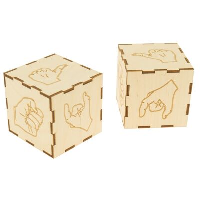 Boxes with hand pictures for manual Praxis