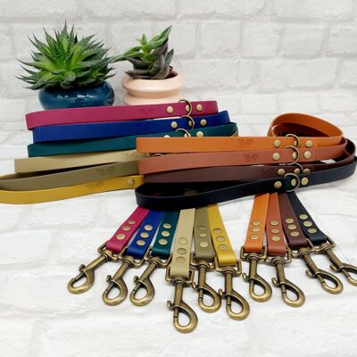 Waterproof Biothane Dog Lead - Antique Brass Hardware