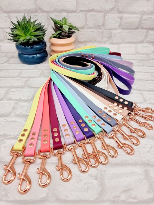 Waterproof Biothane Dog Lead - Rosegold Hardware