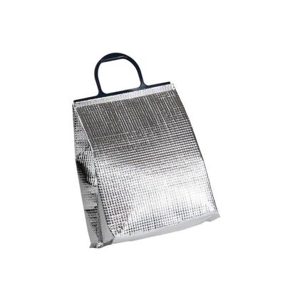 Cooler bag in aluminum and navy color-207X