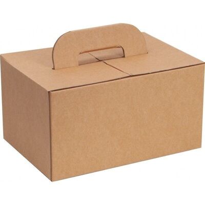 Kraft cardboard box with handle Capacity 5Kg-2851