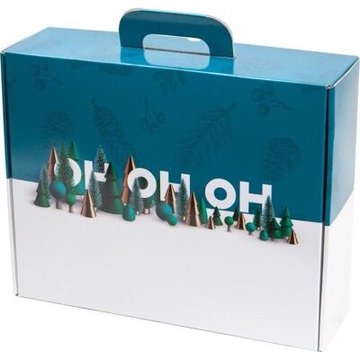 Cardboard case FSC green OH OH OH-2973