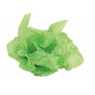 Papier de soie vert anis - rame de 240 feuilles-993P