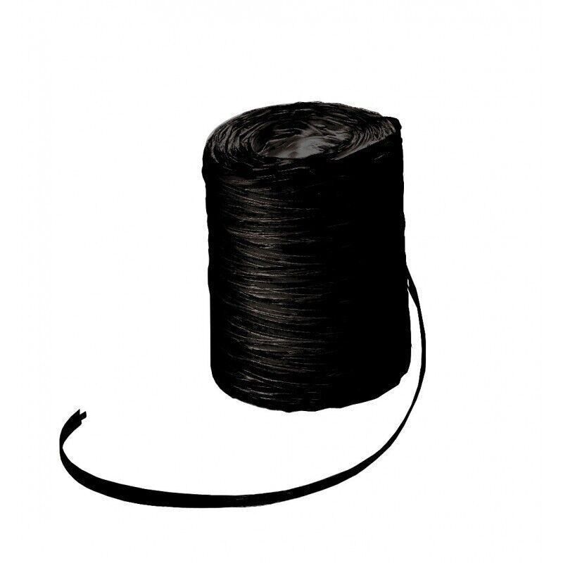 Bobine de bolduc raphline noir-996N