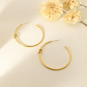 Boucles d'oreilles dorées cercles 1