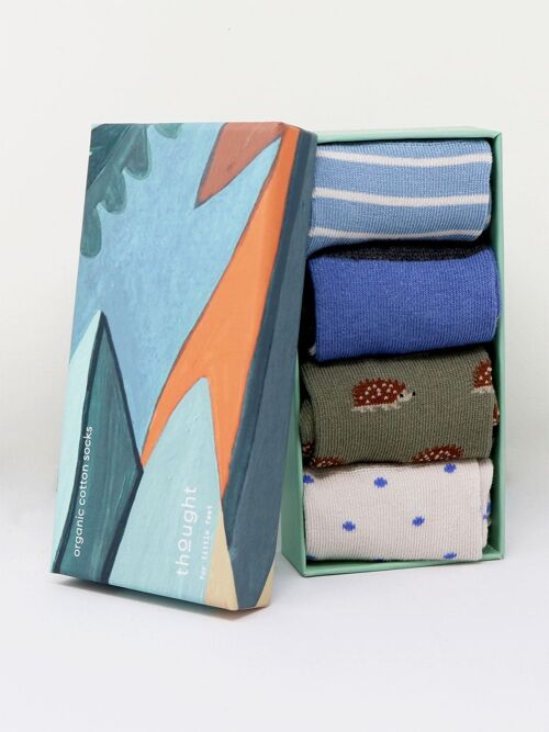 Ray Bamboo Hedgehog Baby 4 Sock Gift Box - Multi