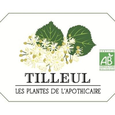 Tilleul - BIO