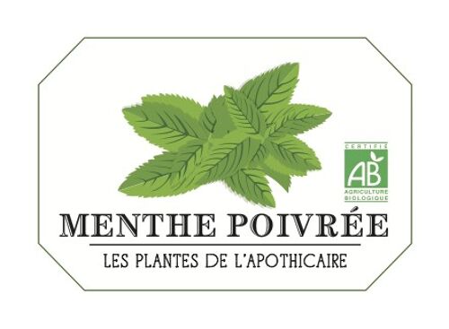 Menthe poivrée Bio France - Digestion, Stress - Naturist Plantes