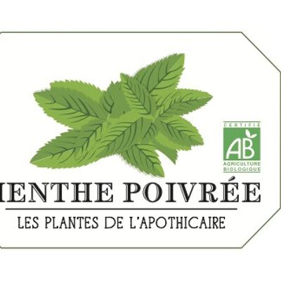 Menthe Poivrée - BIO