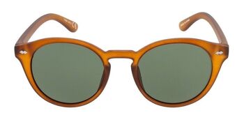 Lunettes de soleil - Icon Eyewear JAQUIM - Monture Marron verres Vert 2