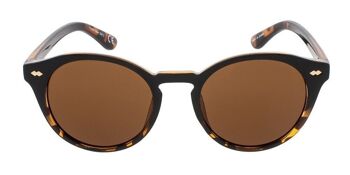 Lunettes de soleil - Icon Eyewear JAQUIM - Monture Noir & Tortue avec verres Marron 2