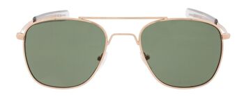 Lunettes de soleil - Icon Eyewear RYAN - Monture verres or / vert avec verres verts 2