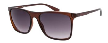 Lunettes de soleil - Icon Eyewear BLITZ - Monture marron avec verres gris clair 1
