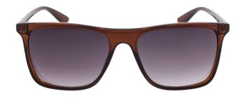 Lunettes de soleil - Icon Eyewear BLITZ - Monture marron avec verres gris clair 2