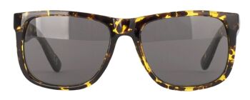 Lunettes de soleil - Icon Eyewear ALPHA - Monture Tortoise avec verres Gris 2