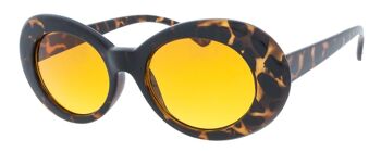 Lunettes de soleil - Icon Eyewear GRUNGE - Monture Tortoise avec verres Orange 1