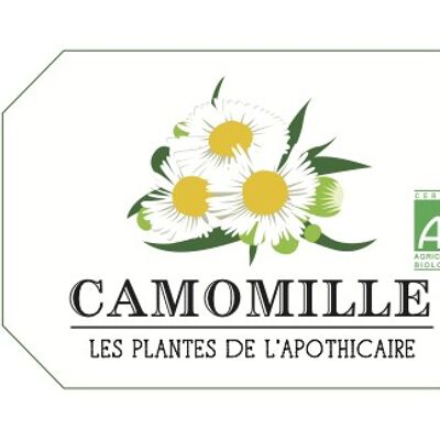 Camomille - BIO
