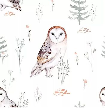 Hibou emmailloté L 2