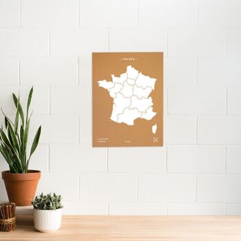 Carte de France sur le liège 2