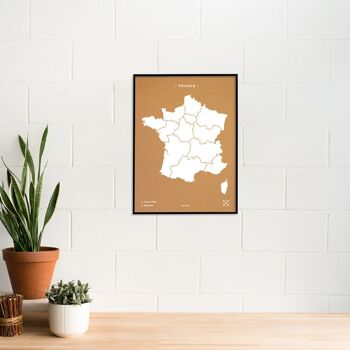 Carte de France sur le liège 4