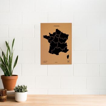 Carte de France sur le liège 5