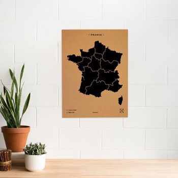 Carte de France sur le liège 11