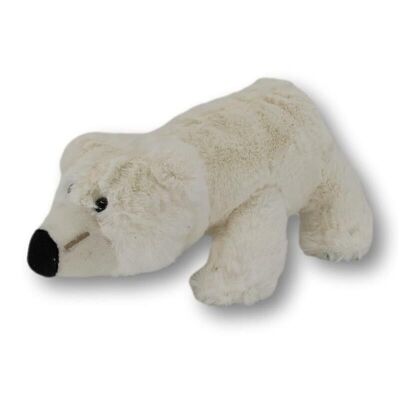 Peluche oso polar Freddy - peluche 18 cm - peluches