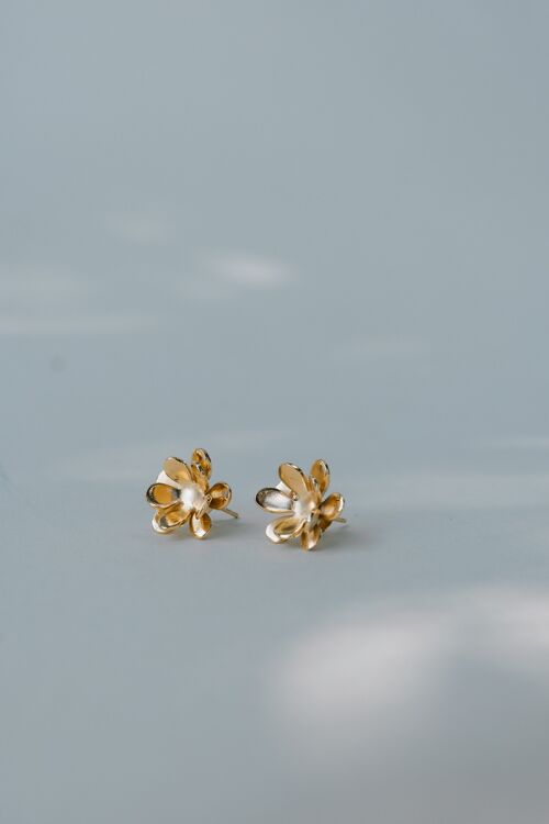 Boucles Daisy