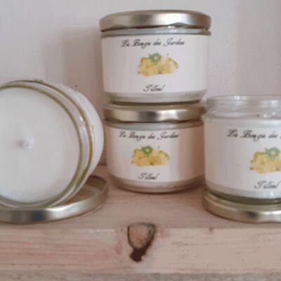 Classic Candle 160gr - Linden soy and rapeseed waxes