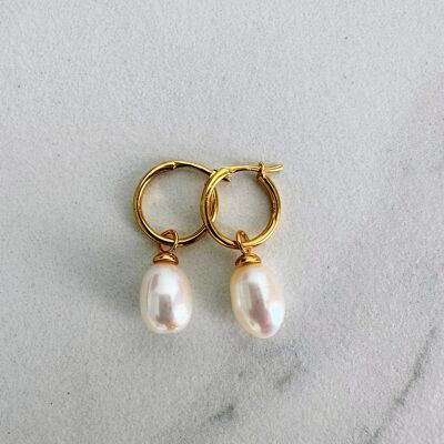 Pearl Accent Hoop Earrings - Gold Plated