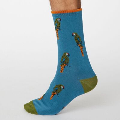 Pappagallo Socks - Dusty Blue