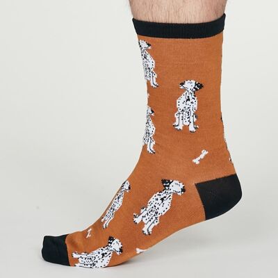 Lyman Dog Socks - Amber