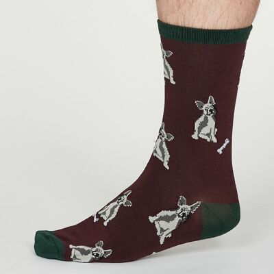 Lyman Dog Socks - Burgundy