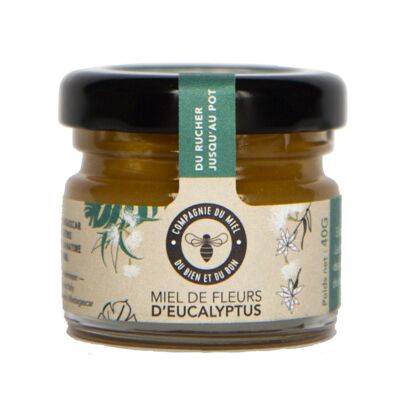 Mini pot dégustation miel d'Eucalyptus - 40G