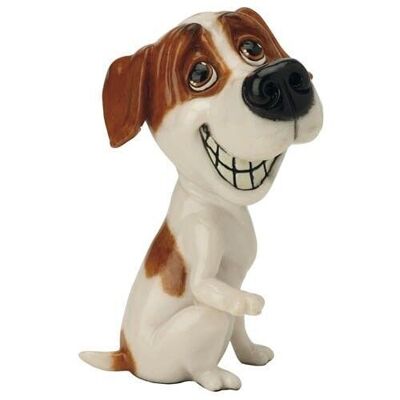 Pip - Jack Russell